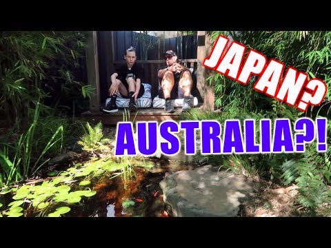 Japanese Garden Pond In Australia