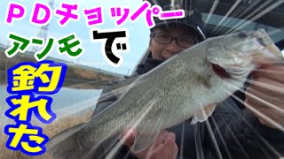 川に潜む川バスを釣る！！　バス釣り