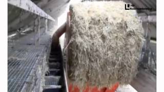 Straw dispenser