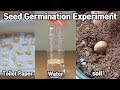 (Eng Sub) 씨앗을 상토에 바로 안 심고 발아 시키고 심는 이유?? (feat.단호박씨앗)ㅣ발아실험ㅣseed germination experiment