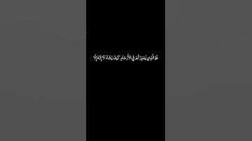 #القران_الكريم #سورة_العمران #ياسرالدوسري #كرومات  الايه 6