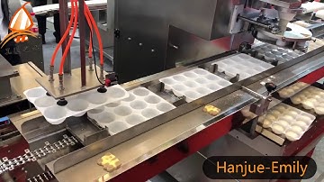 Hanjue Tray feeder machine with Mochi ice cream making machine