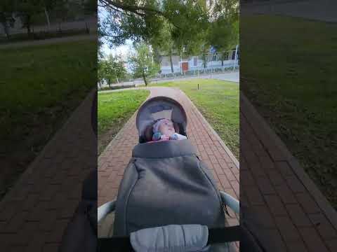 одно из самых любимых дел принцессы , это за деревьями наблюдать 😌 доброго всем дня друзья 💪 👸 🙂