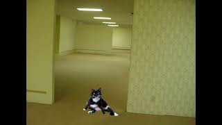 Mallbangs  Gutter benwtl Garage Remix