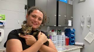 Asheville Humane Society Mobile Medical Unit by AshevilleHumane 97 views 10 months ago 3 minutes, 15 seconds