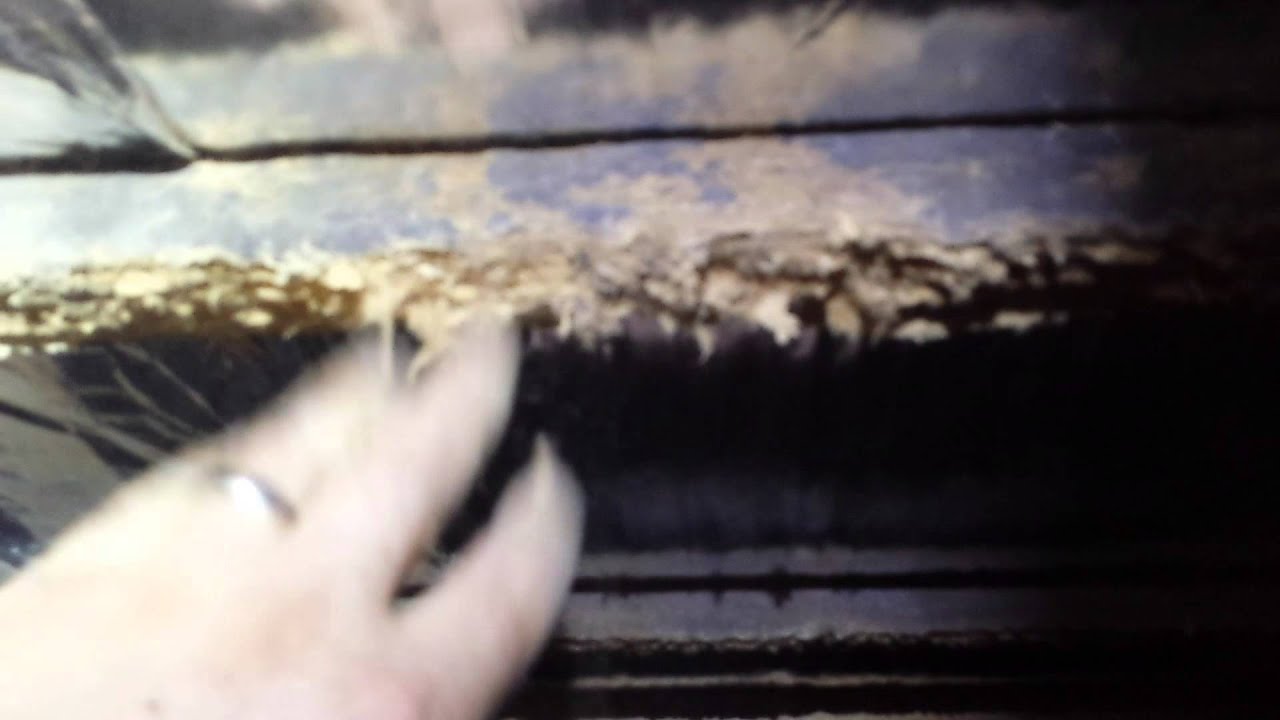 Effect of chemical defibration on timber. - YouTube