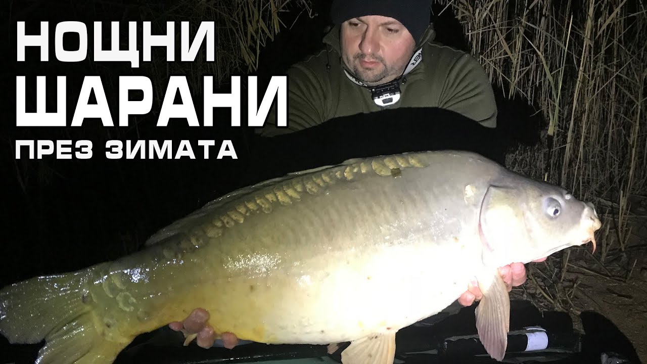 Нощни шарани през зимата и тайния монтаж...