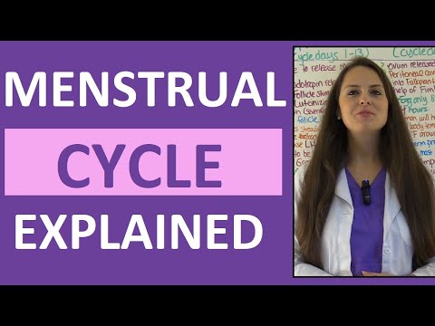 Menstrual Cycle Phases | Female Reproductive System | Follicular Luteal Proliferative Secretory