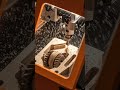 This Tiny Machine Builds a Working Wooden Mechanism! 🤯⚙️ #shorts