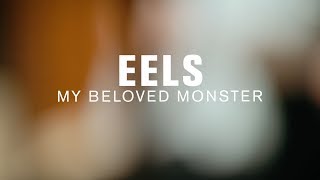Eels - My Beloved Monster (Live at The Current)