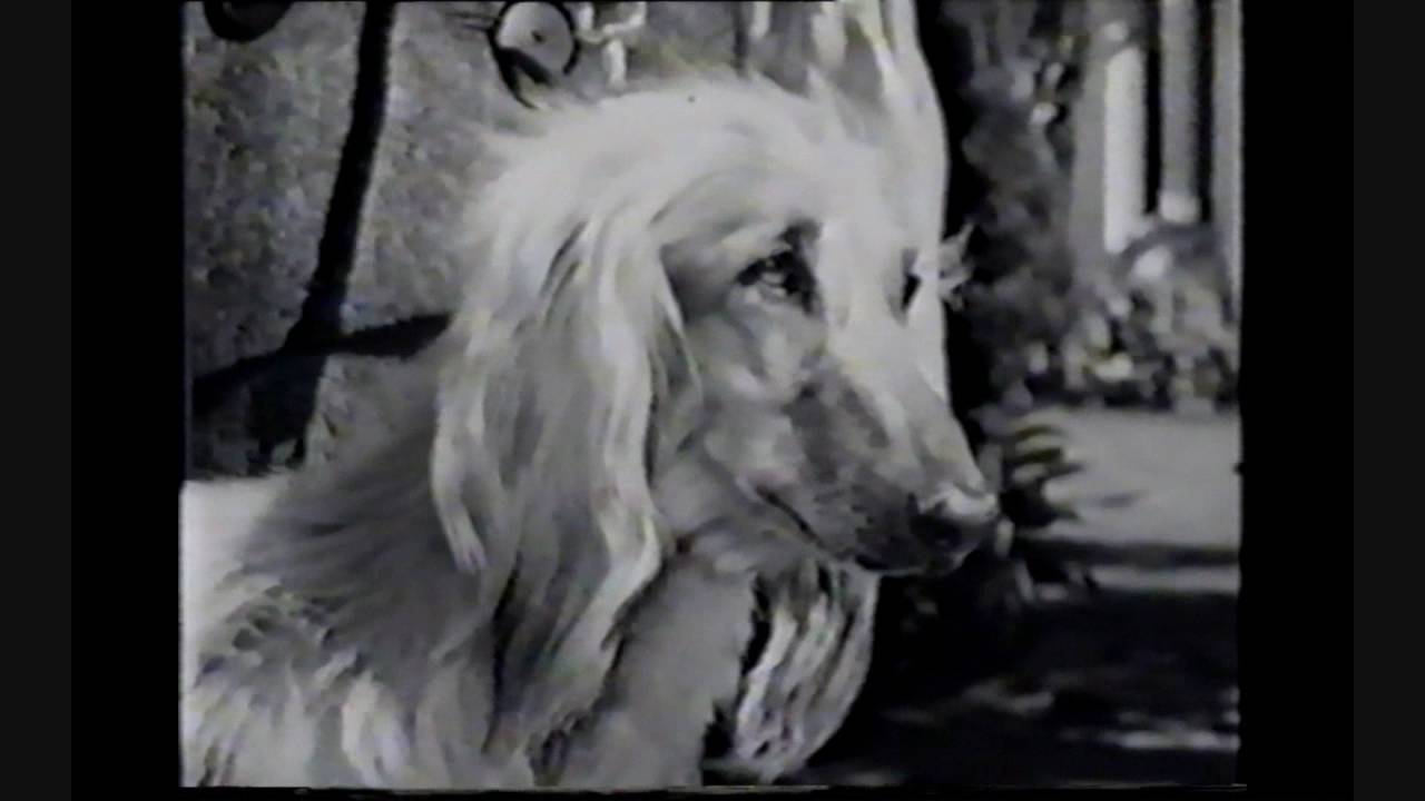 Car Commmercials Australia 1960s and 1970s