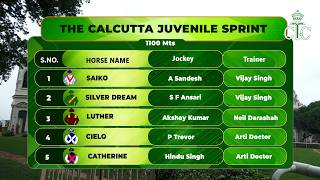 The Calcutta Juvenile Sprint    #rctc   #racing  #comeracing #horseracing #horsetalk