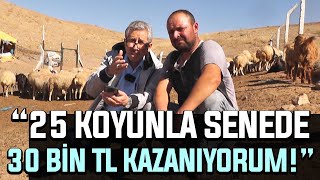 '25 Koyunla Senede 30 Bin TL Kazanıyorum!' by ÇİFTÇİ TV 3,412 views 9 days ago 41 minutes