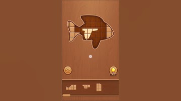 Playing Block Puzzle: Wood Jigsaw Game #017
