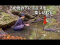 岩下から顔を出すウナギを穴釣りで狙ってみた結果‥