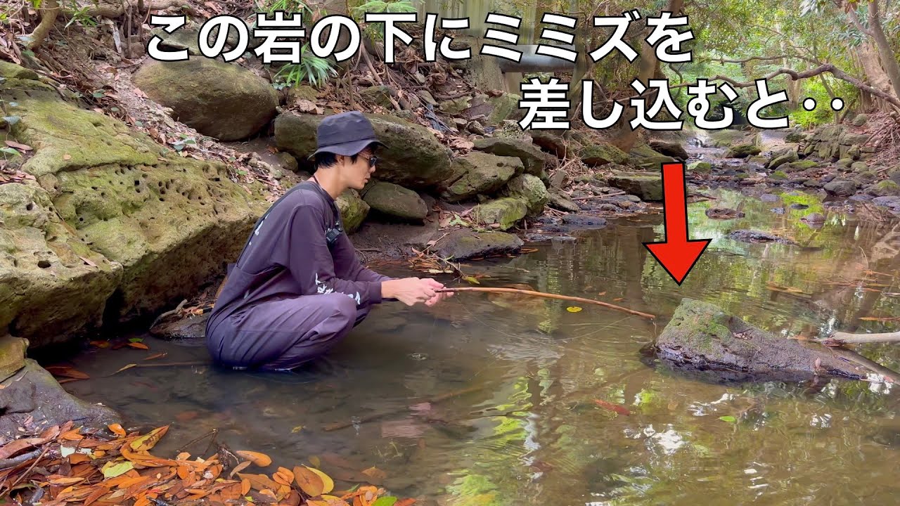 岩下から顔を出すウナギを穴釣りで狙ってみた結果‥