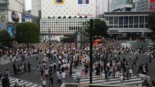 Shibuya crossing view from Starbucks - August 2019