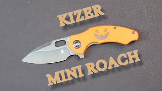 KIZER MINI ROACH G10 154CM, Maybe the MOST unique Flipper Tab EVER! #knifereview #knifedisassembly