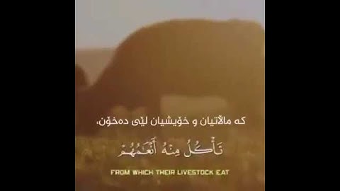 أولم يروا أنا نسوق الماء إلى الأرض الجرز        سورة السجدة الآية 27 #قارئ #عبدالرحمن_مسعد #الحمدلله