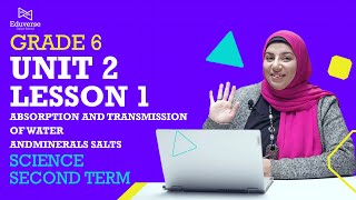 Science| Grade 6| Unit 4 | Lesson 1| Absopration And Transmission Of Water And Minerals salts