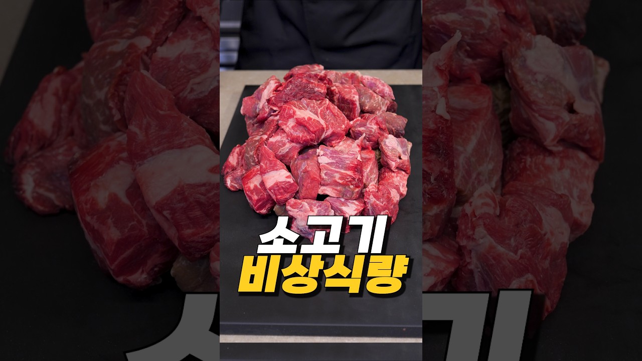 남은 소고기로 한달치 식량 만들기