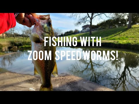 Creek Fishing For Bass With Zoom Speed Worms!