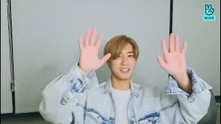 Stray Kids Han VLive | 210813 | It's been awhile. It's Han (Eng/Indo Sub)