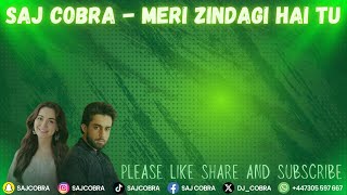 MERI ZINDAGI HAI TU | SAJ COBRA | ASIM AZHAR | THE LATEST PAKISTANI OST REMIX