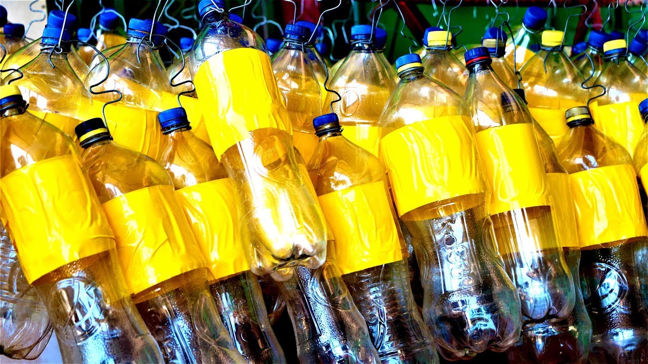 Control Integral de la Mosca de la Fruta - Trampas Matadoras en @Huertas Magaña