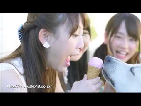 ラブラドール・レトリバー AKB48 30s CM