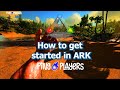 ARK Survival Evolved Beginner’s Guide - How to Get Started (Step-by-Step)