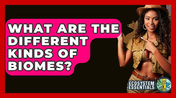 What Are The Different Kinds Of Biomes? - Ecosystem Essentials