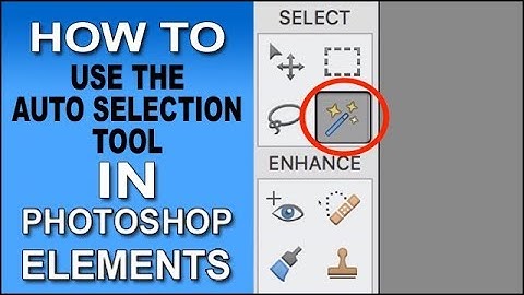 Auto Selection Tool Photoshop Elements 2018