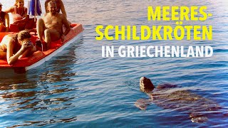 Griechenland: Touristen kontra Meeresschildkröten