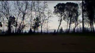 Quad Parvisa Impennate