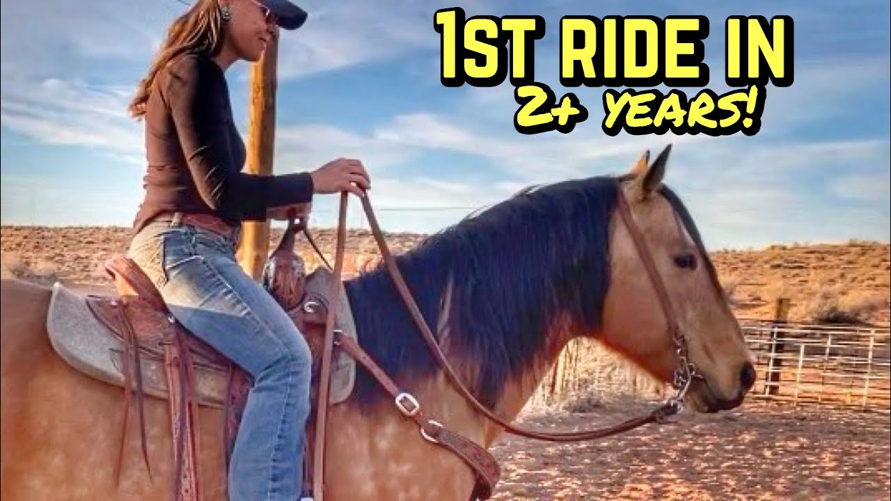 Danielle rides CZAR! | Ranch IMPROVEMENTS | What's WRONG with Frankenstein??