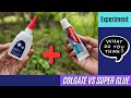 Experiment Colgate Herbal Salt Toothpaste vs Super Glue | What Happened!