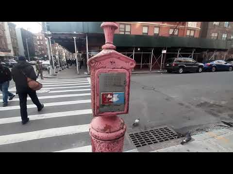 Wideo: Harlem, Nowy Jork: opis i recenzje