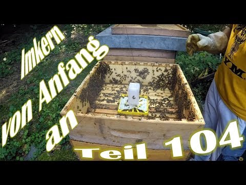 Beekeeping from the beginning - Part 104 - Current status of varroa mite control and further proc...