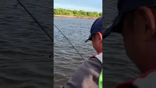 Рыбалка в Якутии река Лена. Ловим щуку и окуней на спиннинг