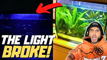How to Change the Light on the FLUVAL FLEX !