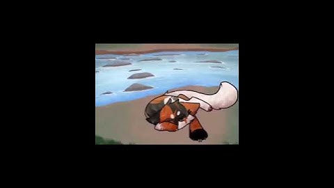 +MapleShade Edit+ Blood/gore warning! (Images are NOT mine!)#shorts #warriorcats