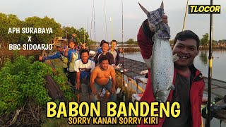 MANCING BABON BANDENG TLOCOR. STRIKE OKE!!!
