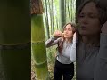 The girl s skills are amazing camping survival bushcraft outdoors lifehack #survive