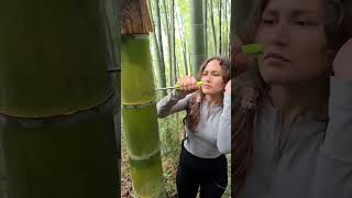 The girl s skills are amazing camping survival bushcraft outdoors lifehack #survive