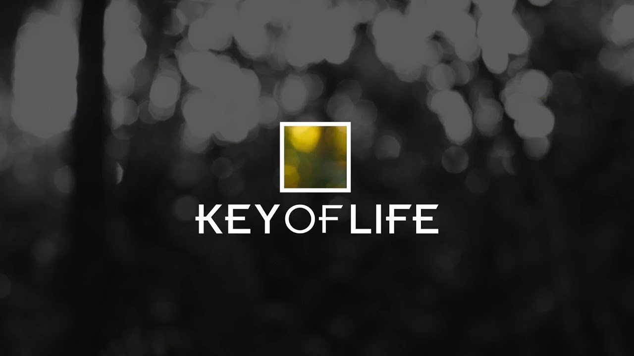 チャンネルを管理