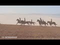Imagefilm 2018 - Sprenger Pferdesport
