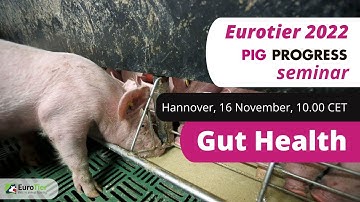 Seminar Gut Health - 16 November - Live at EuroTier 2022
