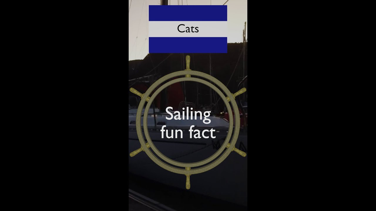 sailing fun facts – cats