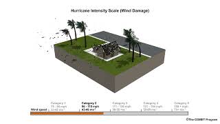 How strong are Category 4 hurricane winds? This video shows damage by storm category